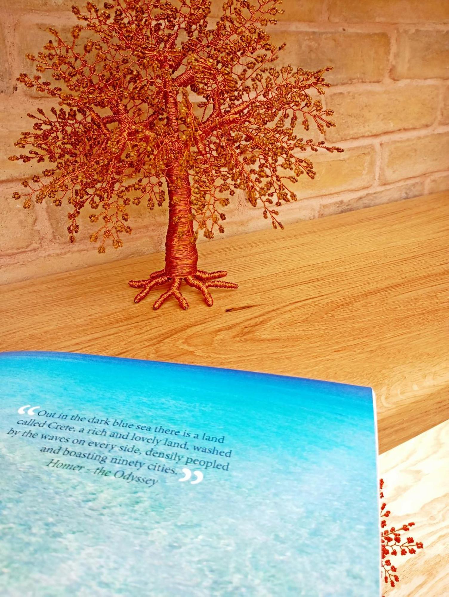 ホテル Domus Vivendi ハニア エクステリア 写真